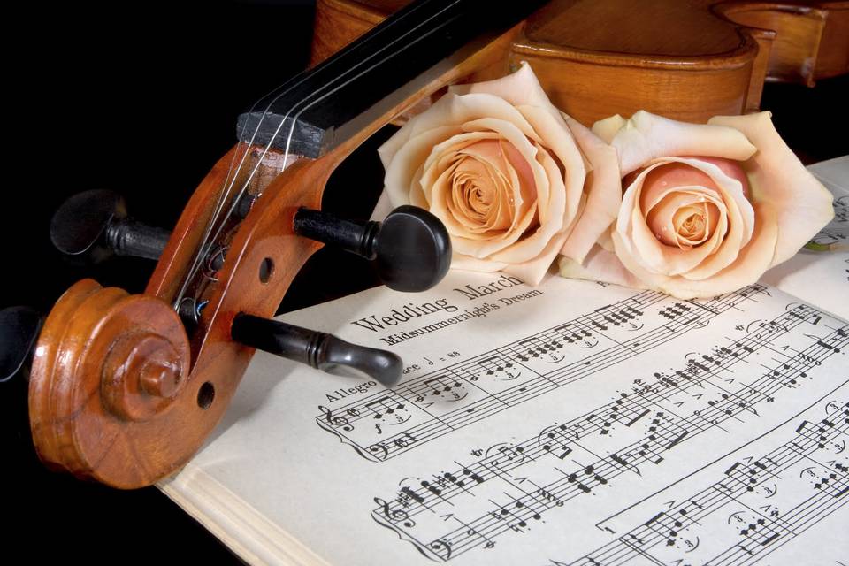 Music Dreams