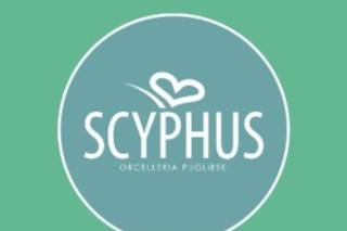 Scyphus