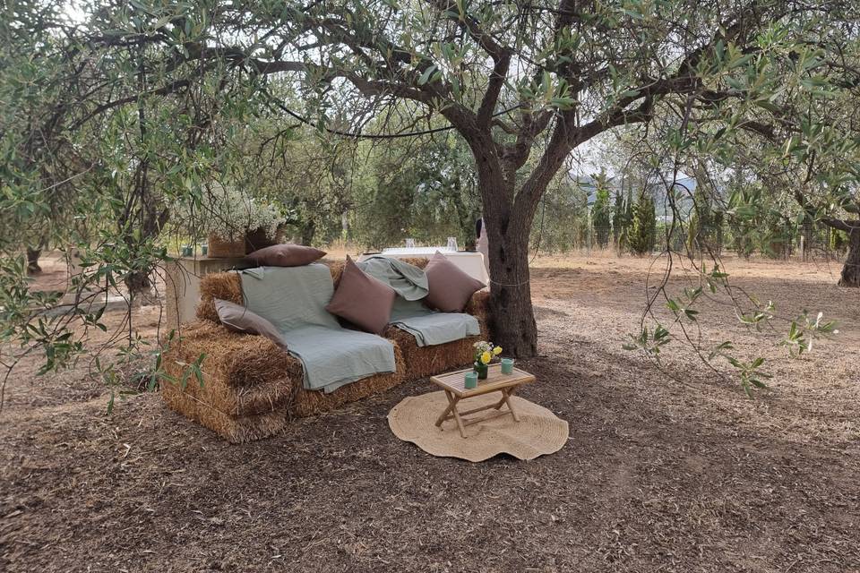Area relax olivi