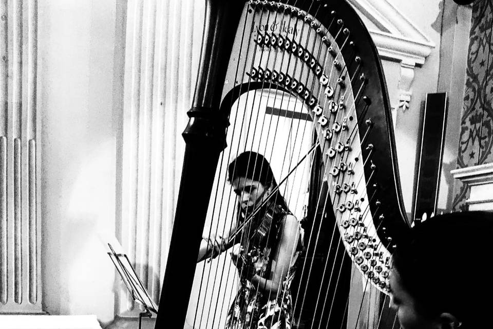 Eleonora Harp