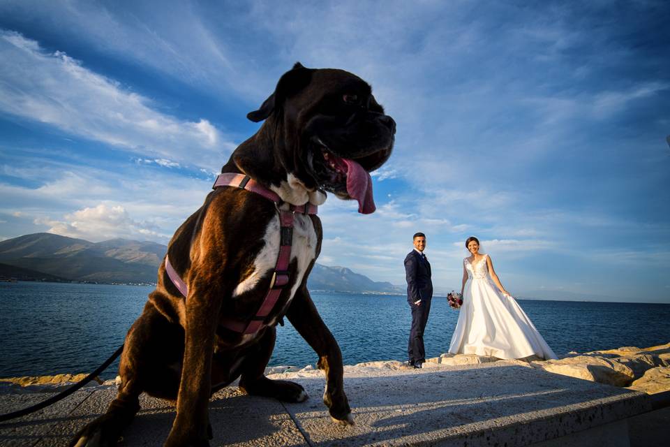 Sposi al mare con cane