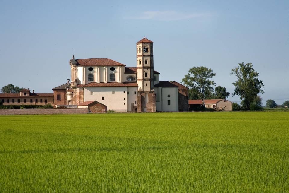 Corte dall'alto