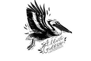 Logo Alberto Gobbato Photography