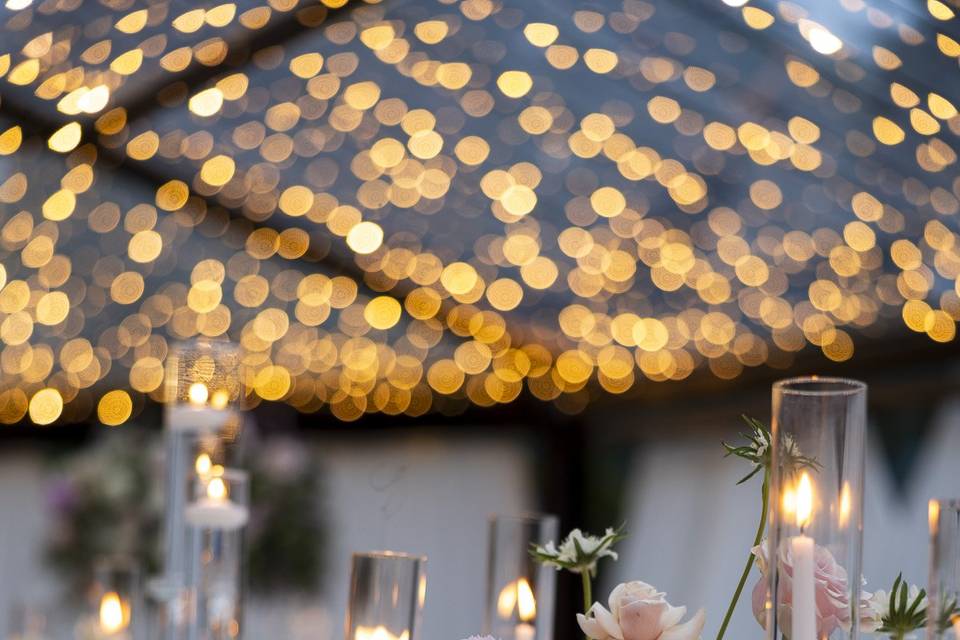 Joelle D'Anna Wedding & Events