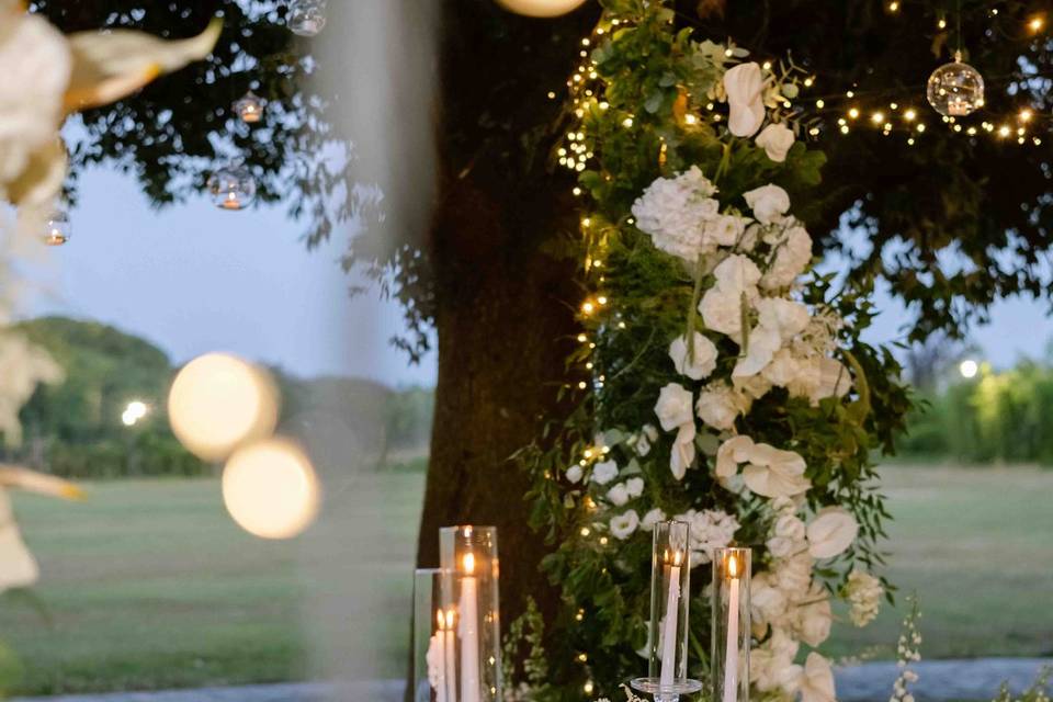 Joelle D'Anna Wedding & Events