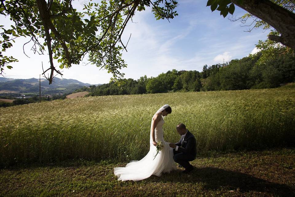 Camera Wedding Photo