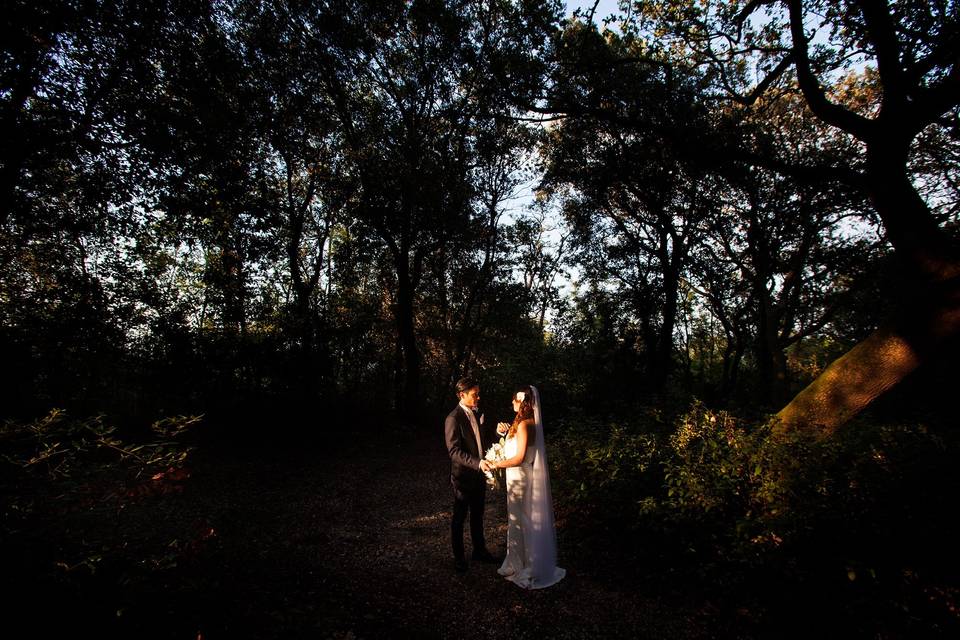 Camera Wedding Photo