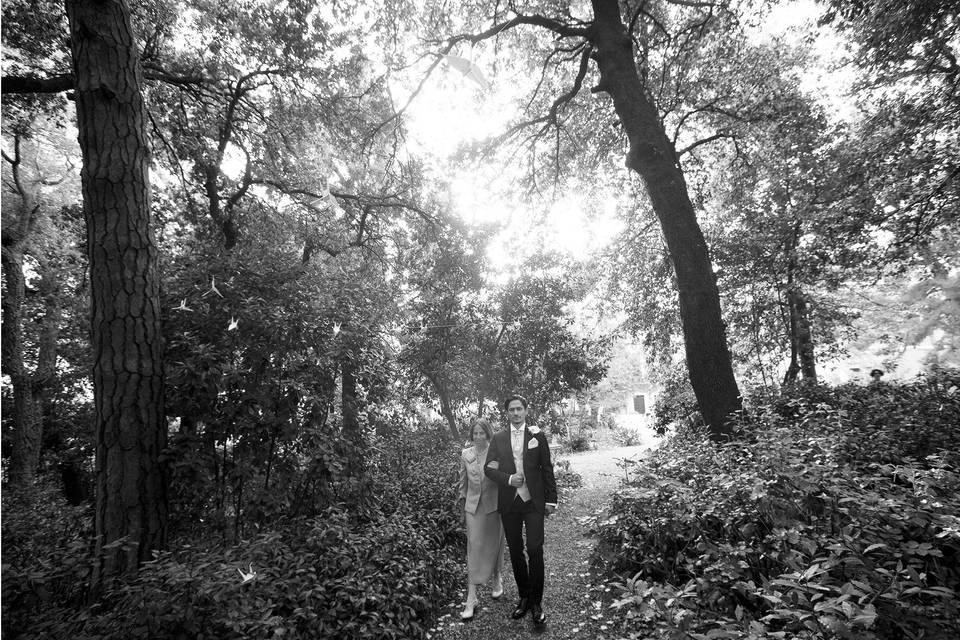 Camera Wedding Photo