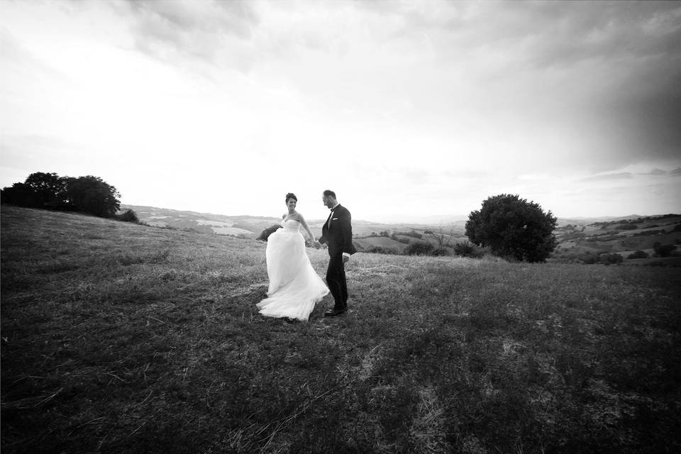 Camera Wedding Photo