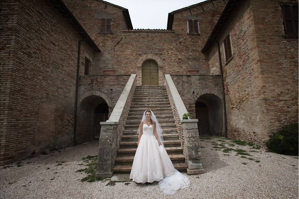 Camera Wedding Photo