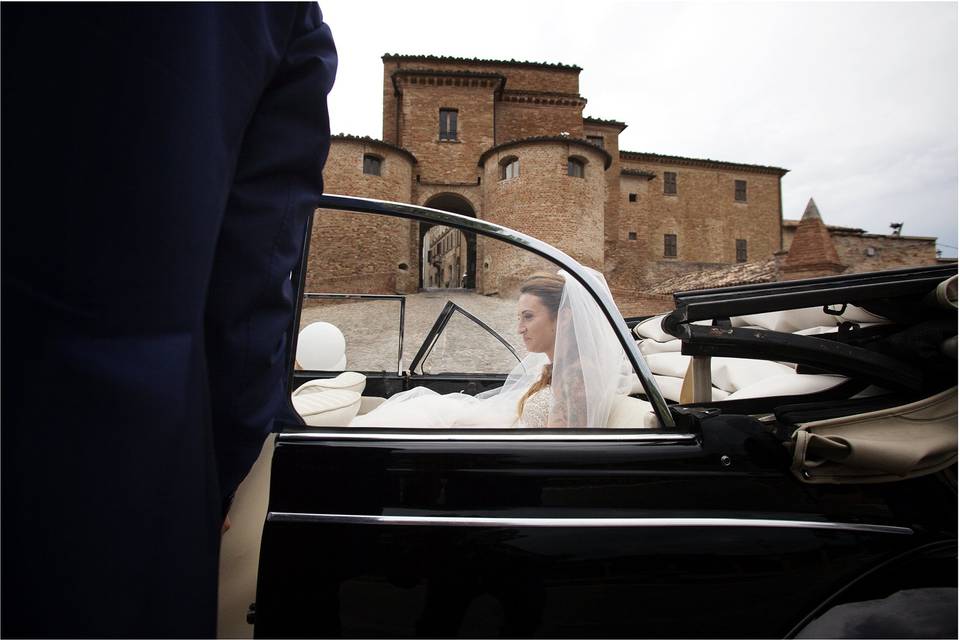 Camera Wedding Photo