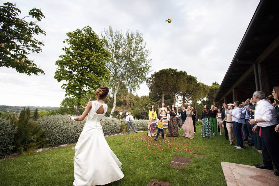 Camera Wedding Photo