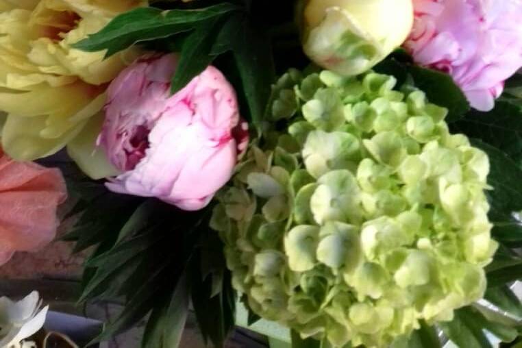 Ortensie green  e peonie