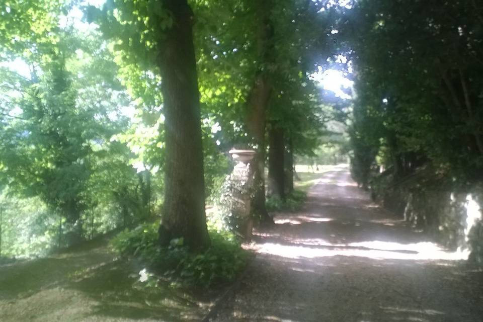 Viale antico di ingresso