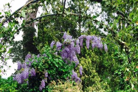 Il Giardino e la Dimora