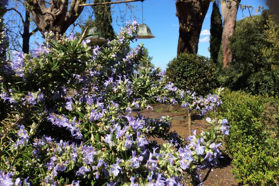 Il Giardino e la Dimora