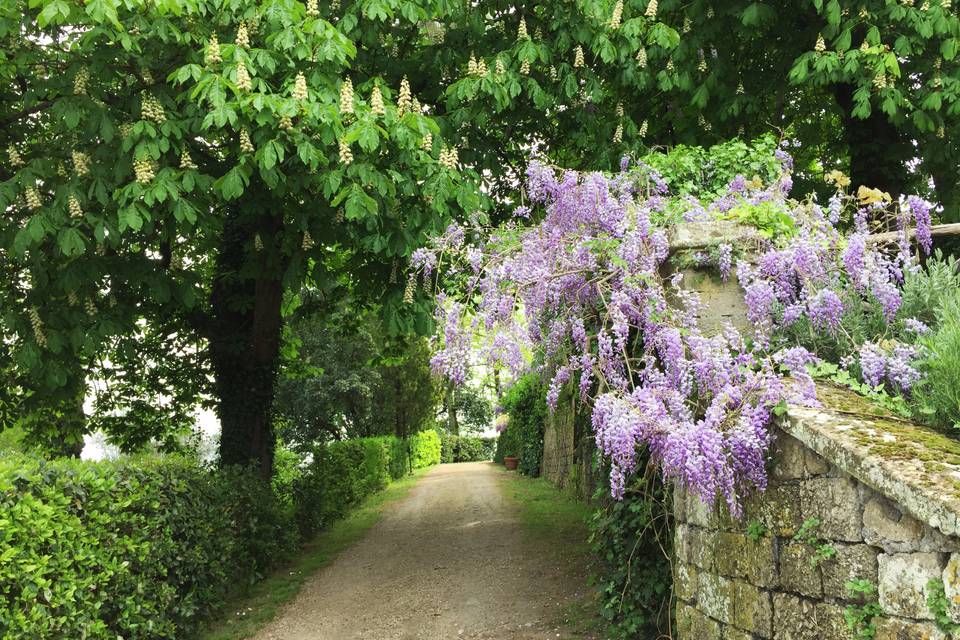 Viale antico