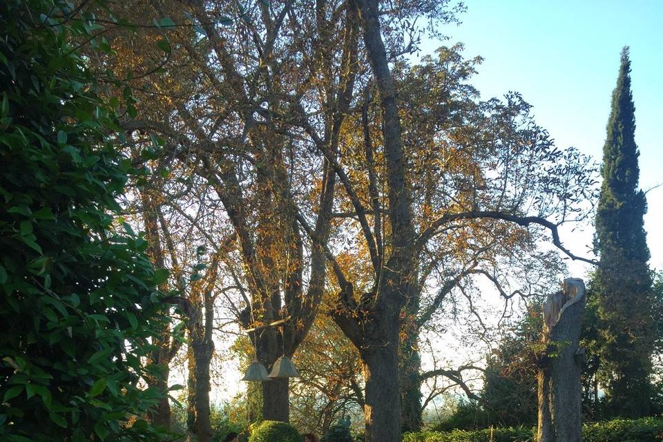 Uno sguardo sul giardino