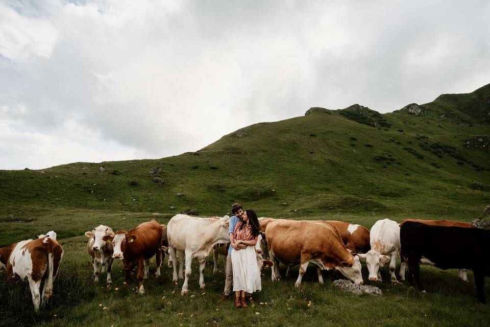 Dolomites engagement