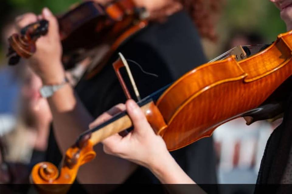 Le Violiniste di DJ Focus