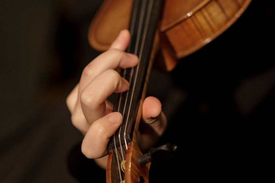 Violino alla cerimonia