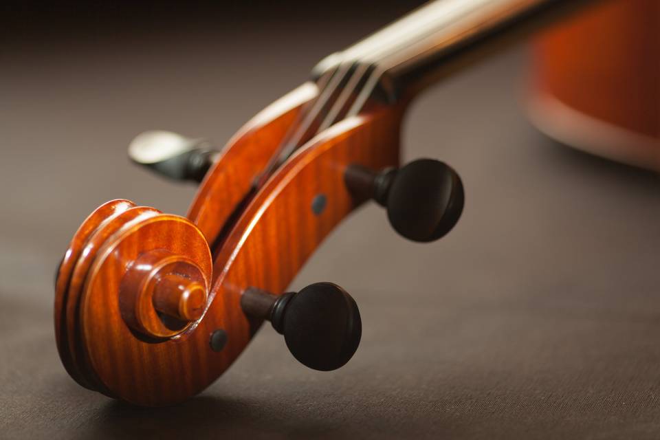 Violino al rito