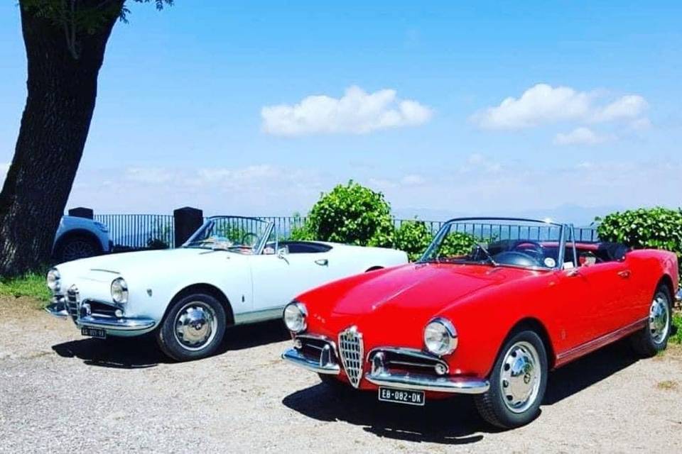 Alfa spider