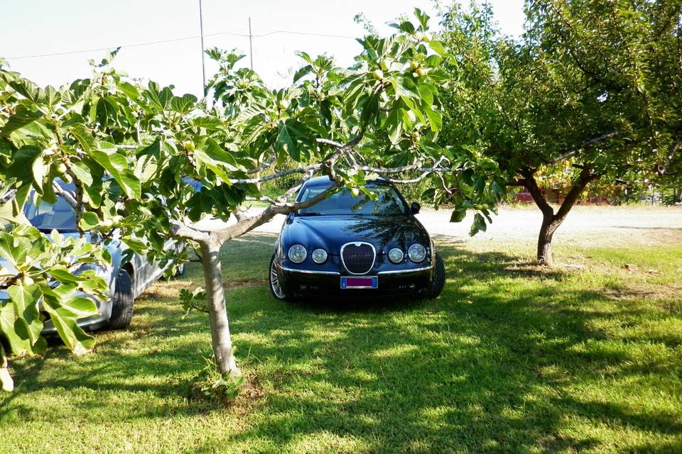 Jaguar S-Type