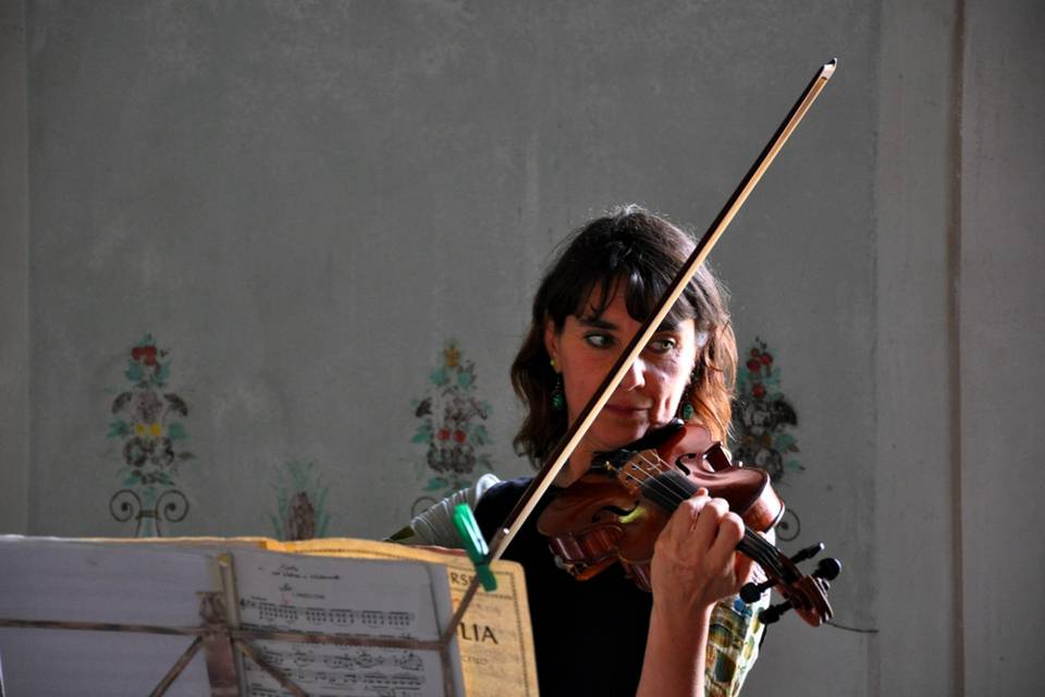 Violino