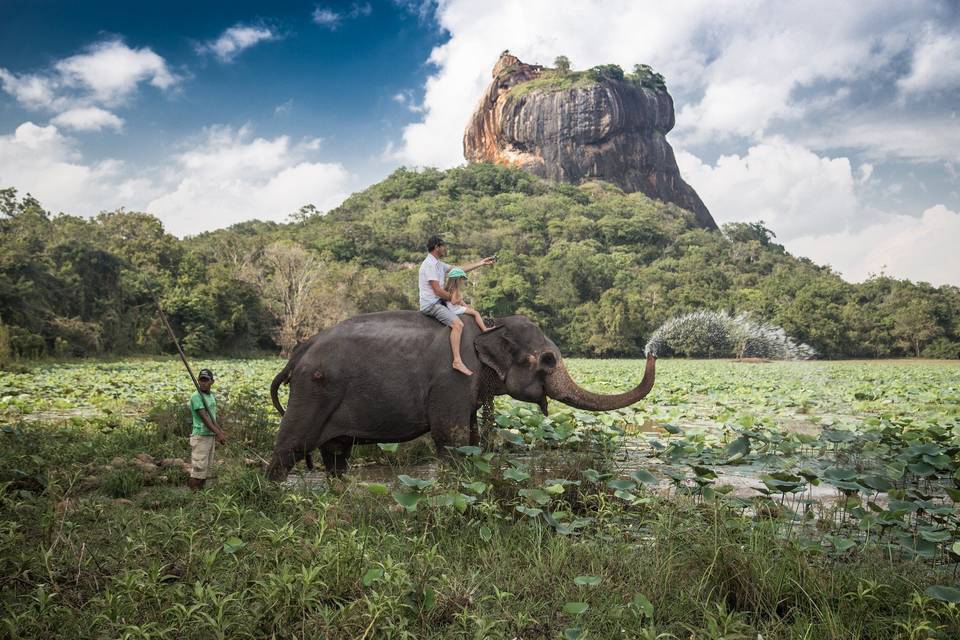 Esplora lo Sri Lanka