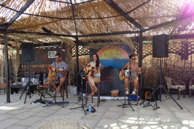 Acoustic Ladyland