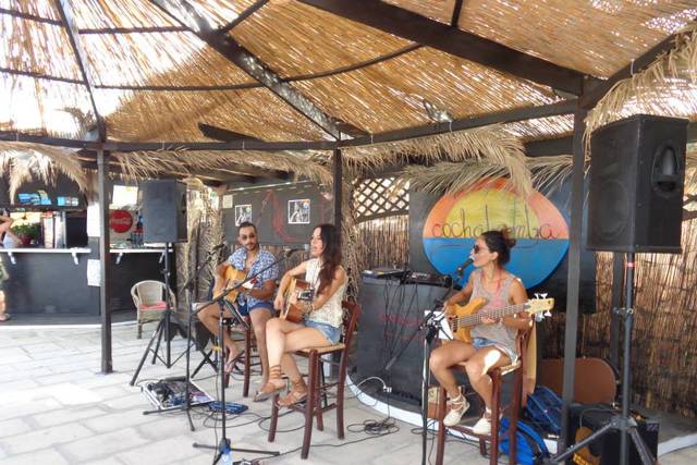 Acoustic Ladyland