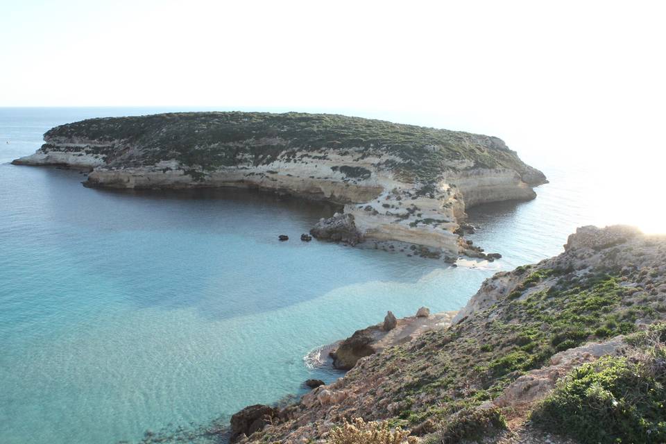 Wedding in Lampedusa di Lorena Lombardo