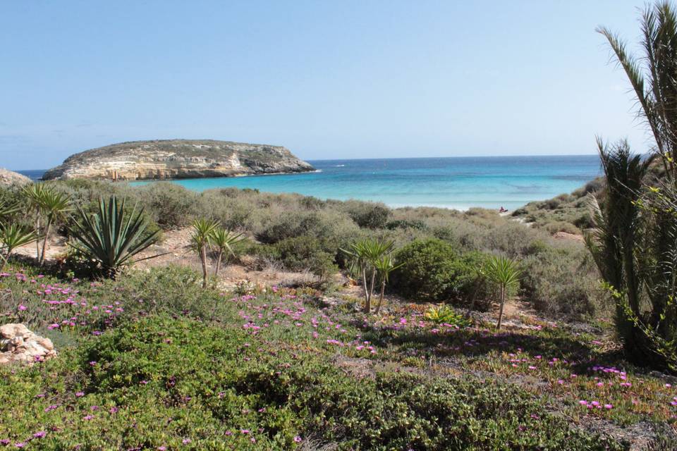 Wedding in Lampedusa di Lorena Lombardo