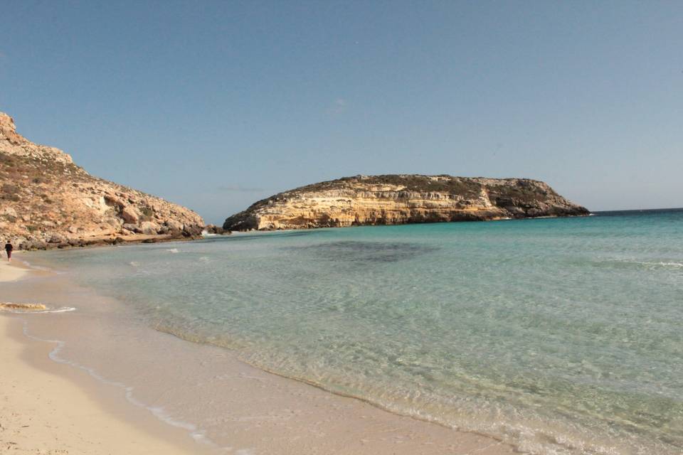 Wedding in Lampedusa di Lorena Lombardo