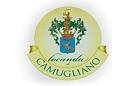 Locanda di Camugliano logo