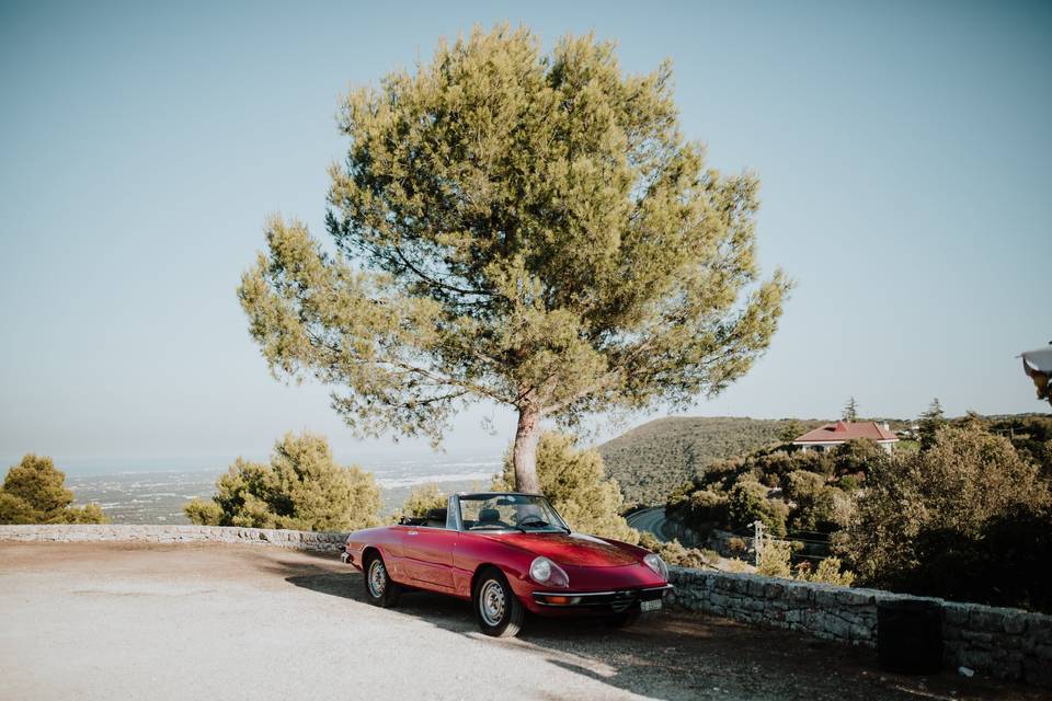 Apulian Wedding