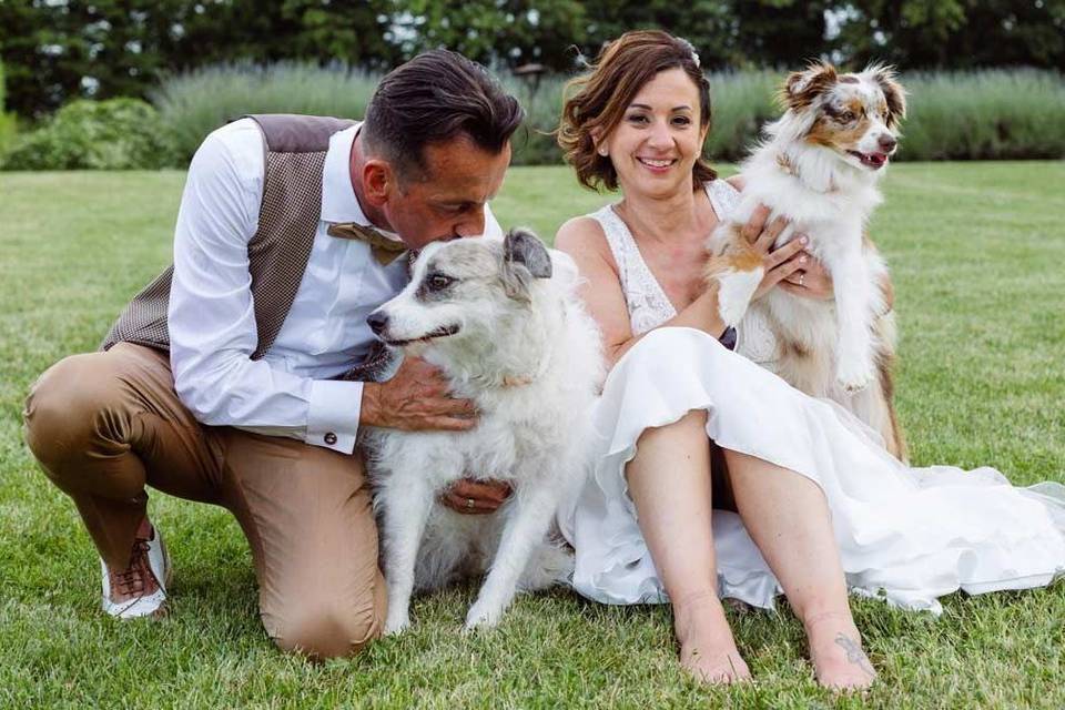 Cani matrimonio sicilia