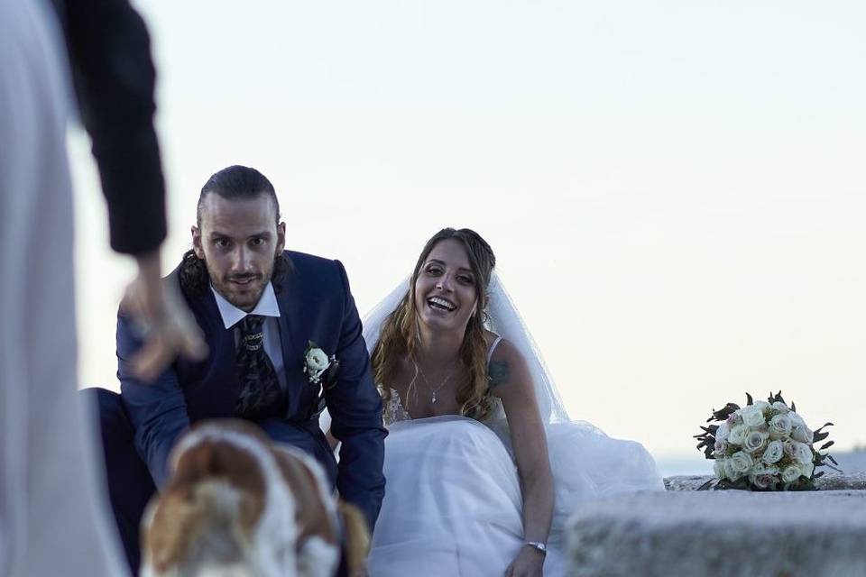 Matrimonio cani