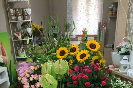 Fiori freschissimi