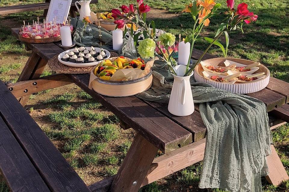 Stefania Giorgi Vegan Chef