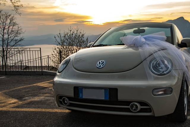 New beetle frontale
