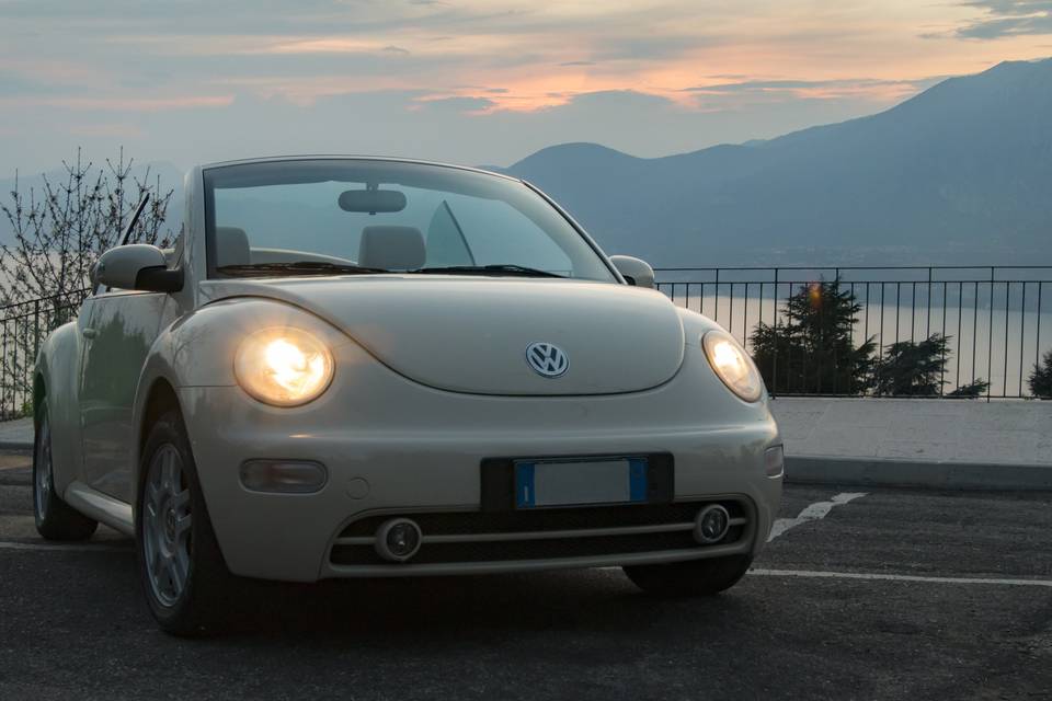 New beetle al tramonto