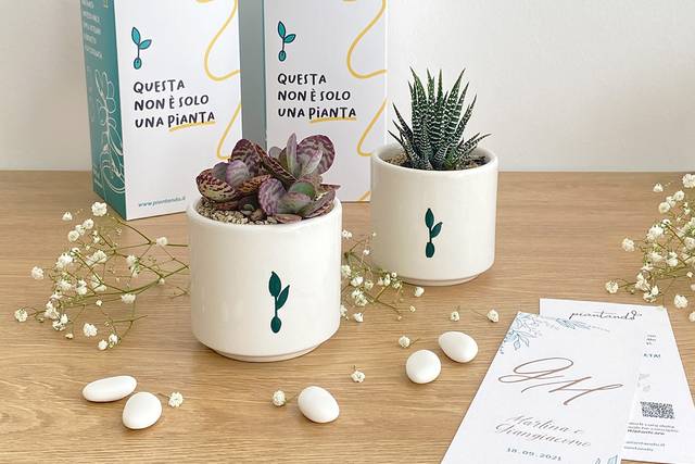 Confezionate e personalizzate