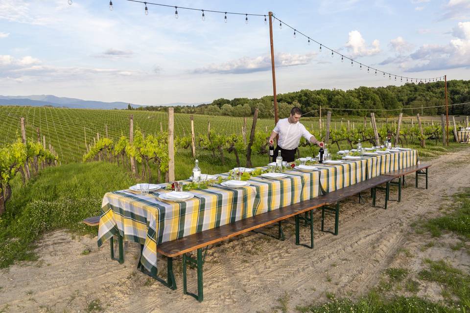 La cena in vigna