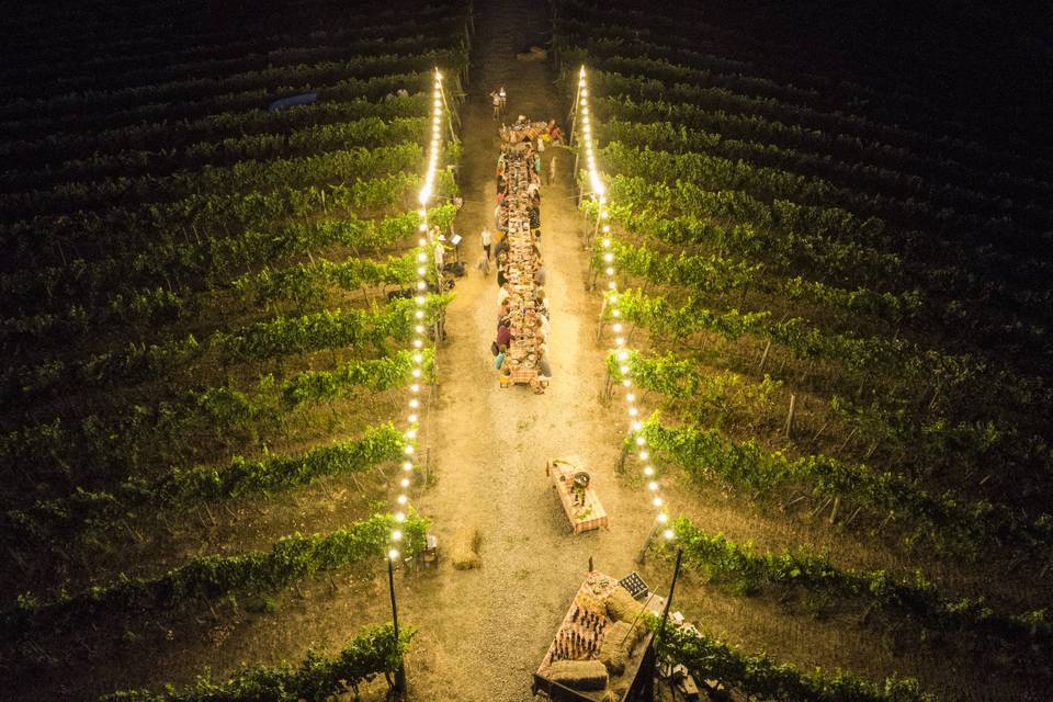Cena in vigna