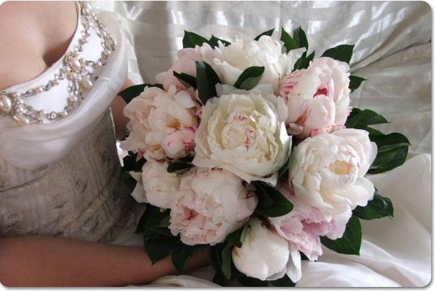 Un romantico bouquet di Peonie