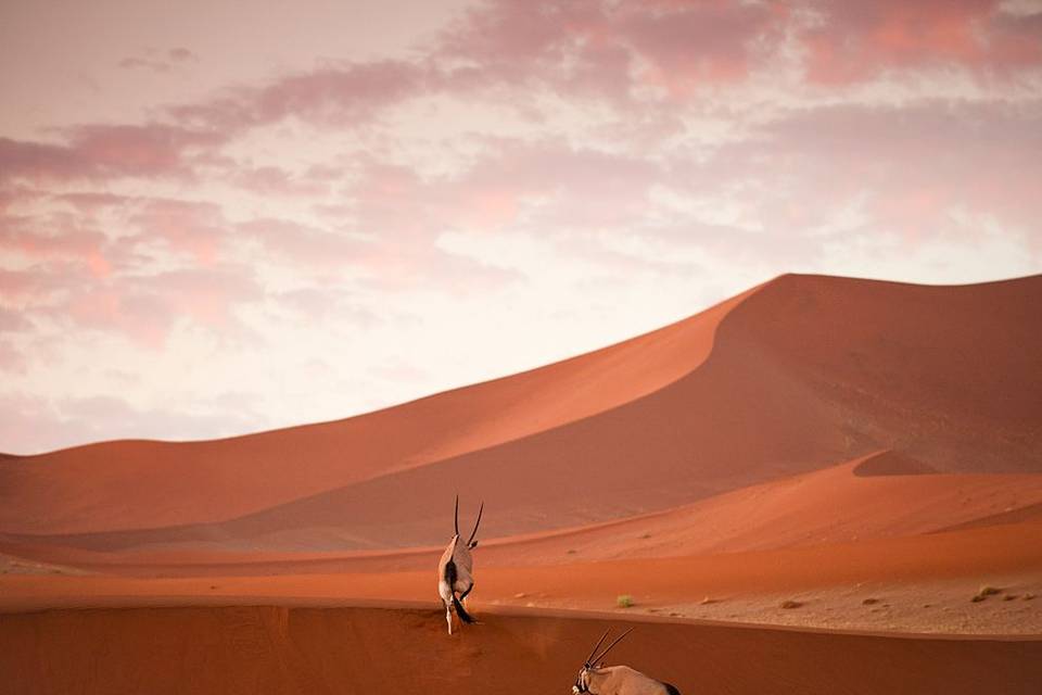 Deserto