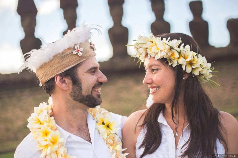 Multimediapro Wedding