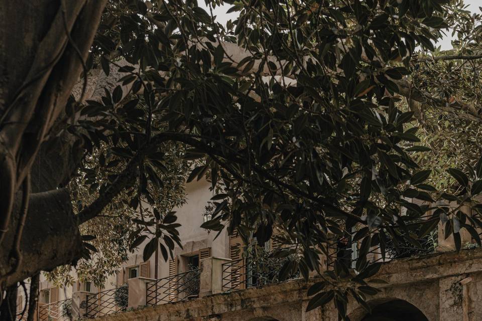 Giardino